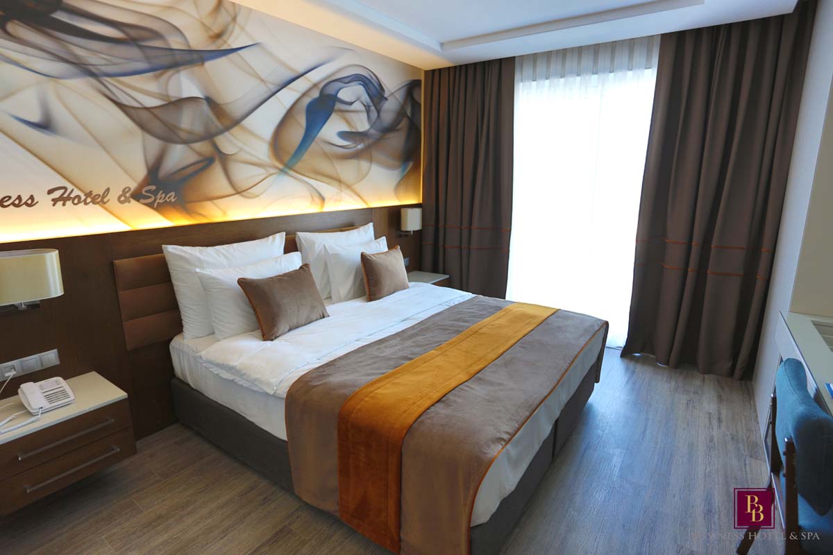 Başaran Business Hotel 5